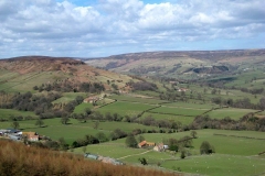 Farndale 2008