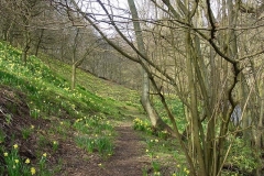 Farndale-6