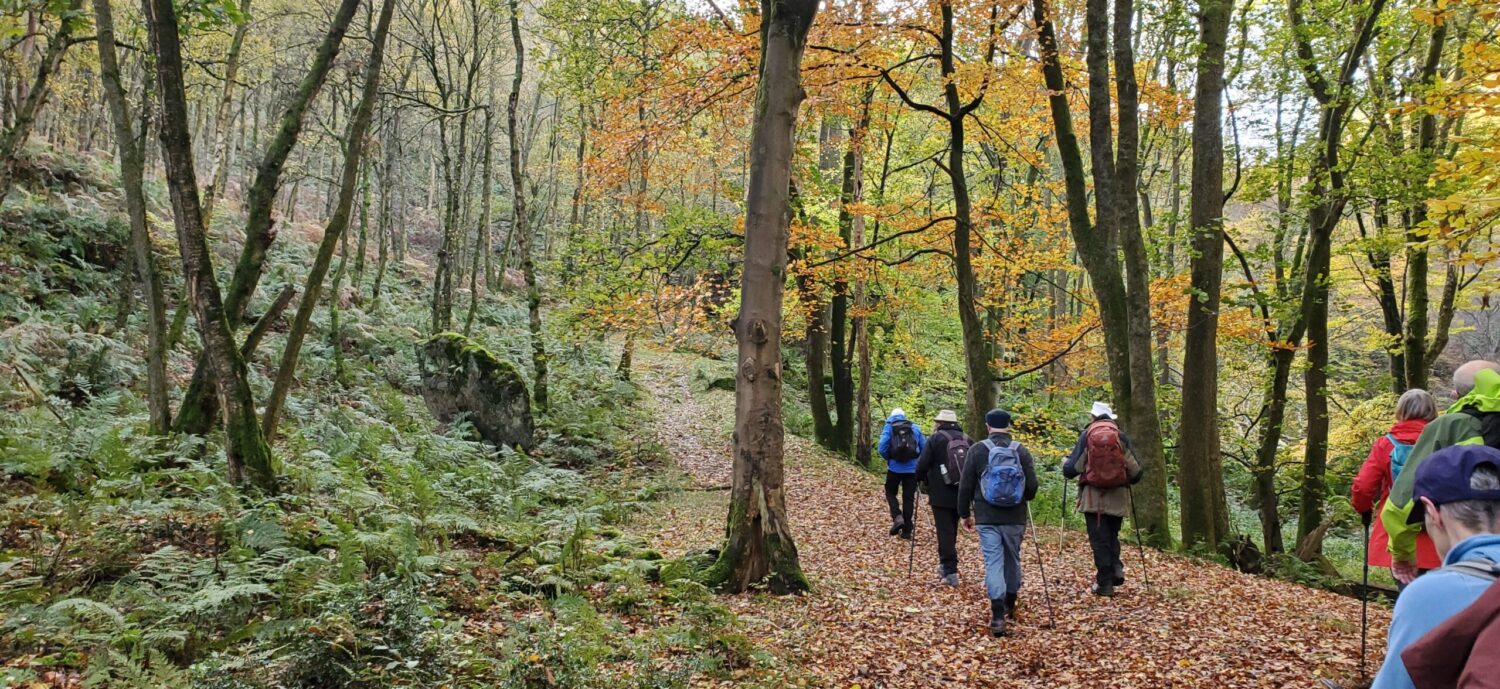 Harrogate Rambling Club